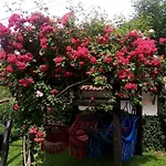 Samelar * Camaleno