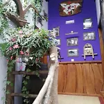 Samelar Apartment