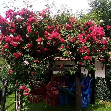 Samelar * Camaleno