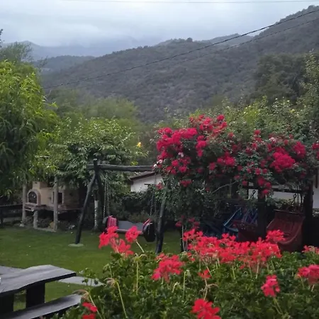 Daire Samelar Camaleño