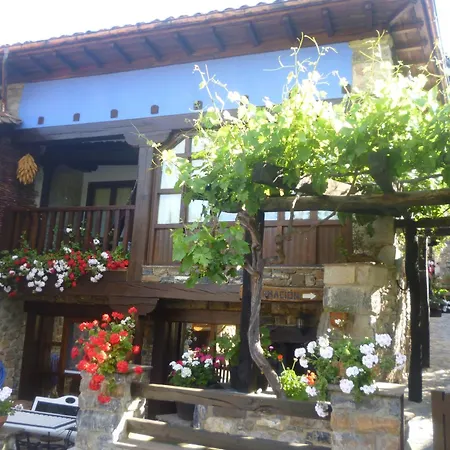Samelar Camaleno