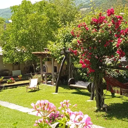 Samelar Apartament *