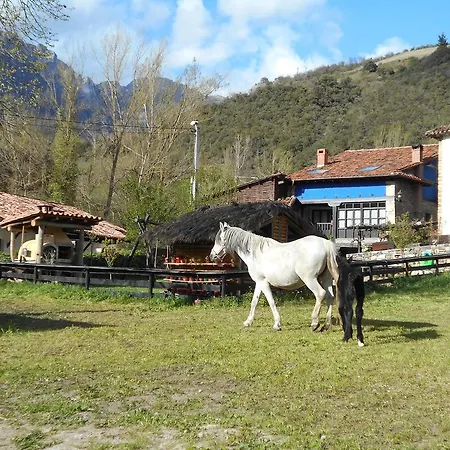 Apartament Samelar
