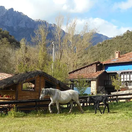 Samelar Apartamento Camaleño